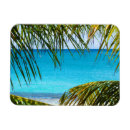 Recherche de palmiers tropicaux magnets Pour tous