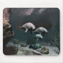 Search for animal rescue electronics Wildlife