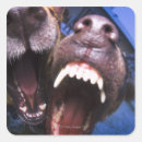 Search for bizarre stickers Outdoors