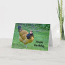 Search for black bird cards Feathers