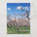 Search for orchards postcards Farm
