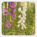 Search for native plants stickers Environment
