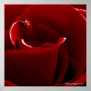 Recherche de coccinelle rose posters Amour