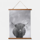 Search for highland cow art Farmhouse