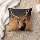 Recherche de habitat coussins Faune