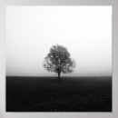 Search for lonely tree posters Black