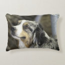 Search for australian shepherd pillows Cute