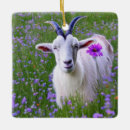 Search for goats ornaments Cute