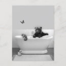 Recherche de bear postcards Porter