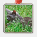 Recherche de chat gris ornements Minou
