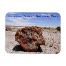 Search for crystal magnets Park