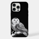 Search for black and white bird electronics Nature