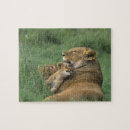 Recherche de tanzanie puzzles Lion