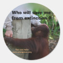 Search for extinct stickers Conservation