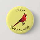 Search for cardinal bird buttons Redbird
