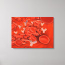 Search for circulatory system art Science