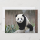 Recherche de chengdu vœux cartes Chine