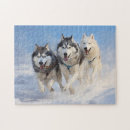 Search for siberian husky puzzles Canine