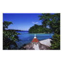 Search for greg posters Caribbean sea