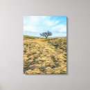 Search for lonely tree Outdoors
