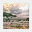 Recherche de savane magnets Arbre