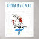 Search for life cycle posters Diabetes