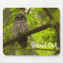 Search for barred owl electronics Bird