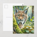 Recherche de vert forêt cartes postales Sauvage