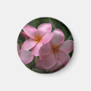 Search for scents magnets Garden