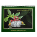 Search for insect calendars Outdoors