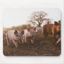 Search for hybrid mousepads Nature