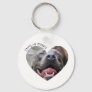 Search for my pitbull accessories Dog