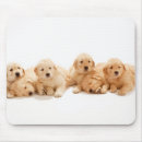 Recherche de six tapis souris Animal