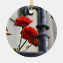 Search for red rose ornaments Photography