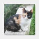 Recherche de fantôme drôle magnets Chat