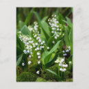Recherche de muguet cartes postales Printemps
