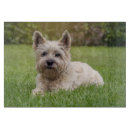 Recherche de westie planches à découper Chien