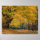 Search for canopy art Scenic