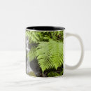 Recherche de brouillé tasses Rural