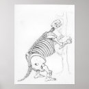 Recherche de histoire naturelle posters Gravure