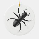 Search for ant ornaments Animal