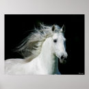 Search for headshot posters Breed
