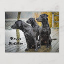 Search for black labrador birthday cards Water