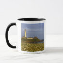 Recherche de moon tasses Phare