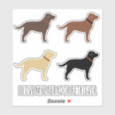 Search for lab electronics Yellow labrador