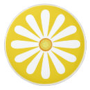 Recherche de marguerite blanche boutons et poignées de porte Moderne