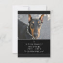 Search for announcing death of dog Black