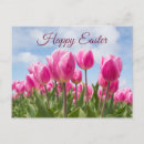 Recherche de champ de tulipe posters Plante