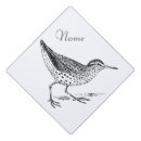Search for commons hats Wildlife