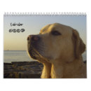 Search for labrador calendars Retriever
